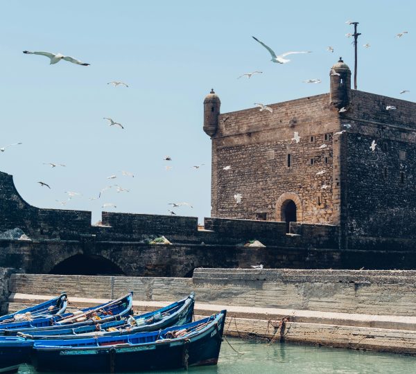 Ancienne forteresse toscane en pierre surplombant la mer, avec des voiles bleues amarrées, entourée d'oiseaux en vol, offrant une vue pittoresque et historique.